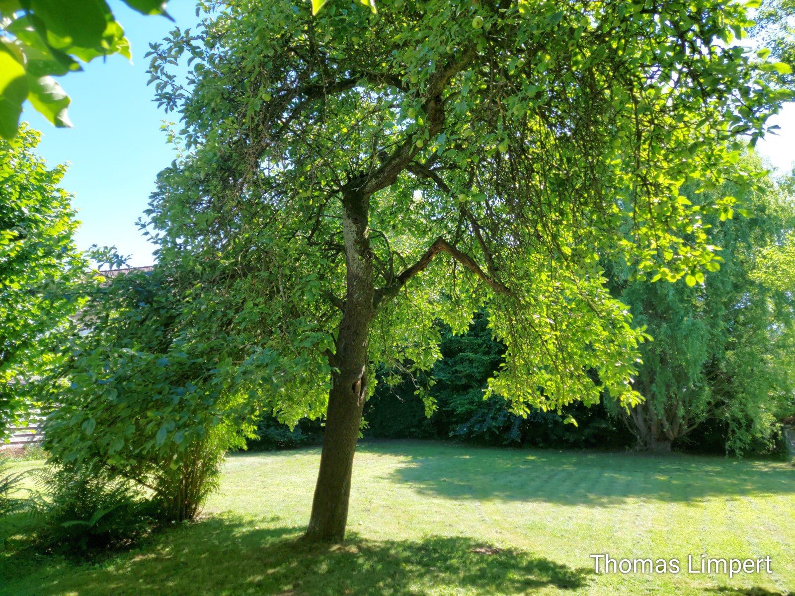Foto der Immobilie (12370)
